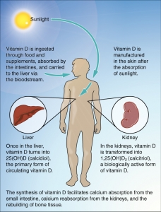 Should you take Vitamin D supplements while breastfeeding ...