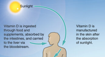Should You Take Vitamin D Supplements While Breastfeeding?